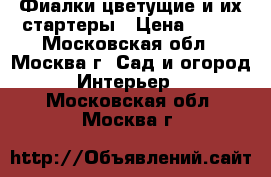 Фиалки цветущие и их стартеры › Цена ­ 200 - Московская обл., Москва г. Сад и огород » Интерьер   . Московская обл.,Москва г.